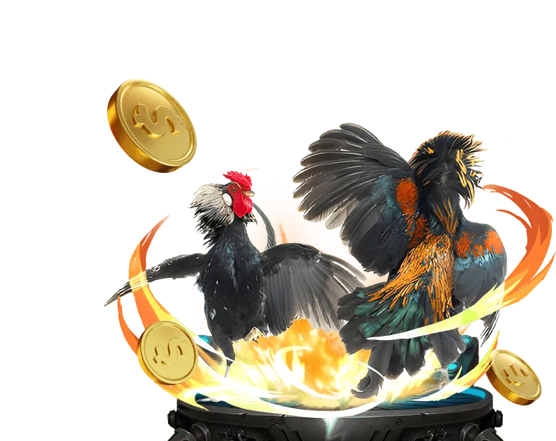Xác Nhận & Hoàn Tất